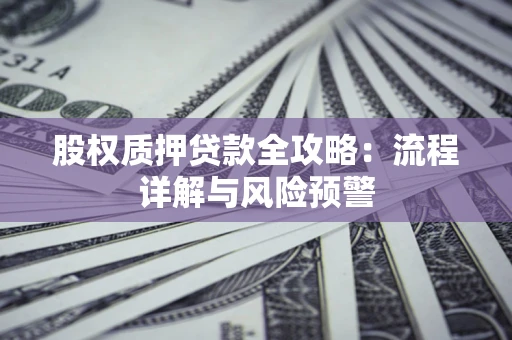 北京股权质押贷款全攻略：流程详解与风险预警