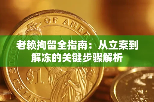 北京老赖拘留全指南：从立案到解冻的关键步骤解析