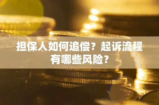 北京担保人如何追偿？起诉流程有哪些风险？