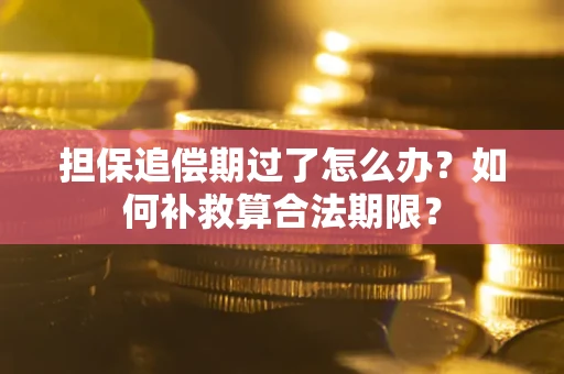 北京担保追偿期过了怎么办？如何补救算合法期限？