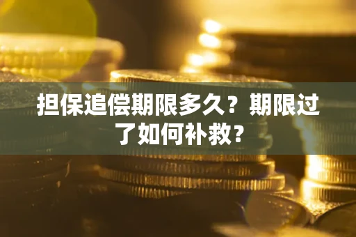 北京担保追偿期限多久？期限过了如何补救？