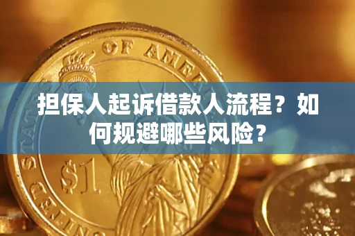 北京担保人起诉借款人流程？如何规避哪些风险？