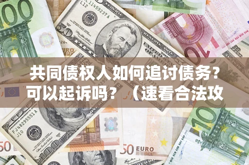 北京共同债权人如何追讨债务？可以起诉吗？（速看合法攻略）