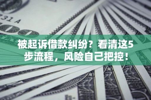 北京被起诉借款纠纷？看清这5步流程，风险自己把控！
