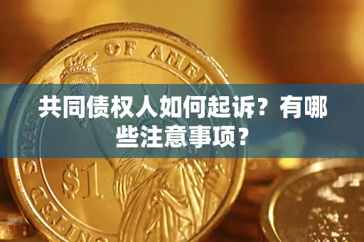 北京共同债权人如何起诉？有哪些注意事项？
